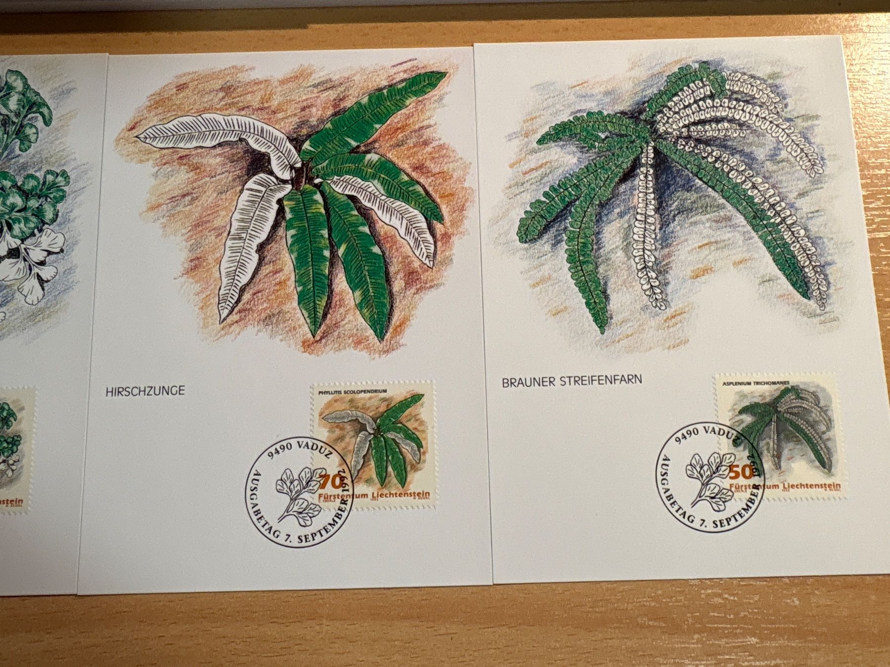 Cartoline postali: Liechtenstein Maximum Karten Nr.109 "Farne" 1992, Top! – Usato da Ibach venduto da lisch3