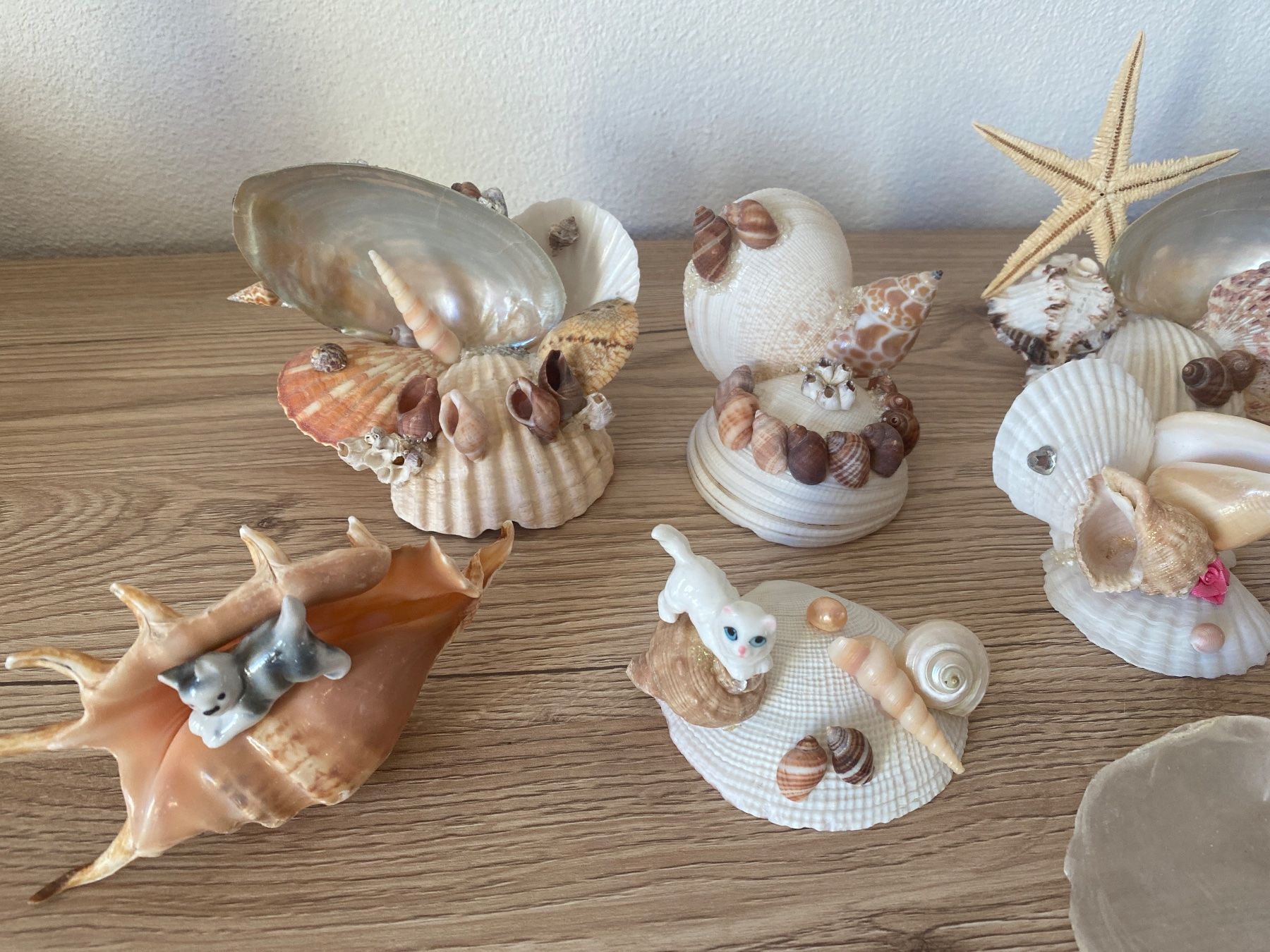 Alle Dekorationen: Dekorative Muscheln – Gebraucht aus Glattbrugg von RD-Shop 1