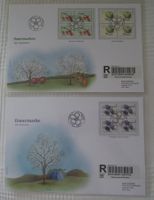 Sondermarken 2007 Scherenschnitte  Grossbriefe  Ausgabetag