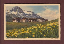 Motiv bei MALOJA - Dotterblumen - 1941