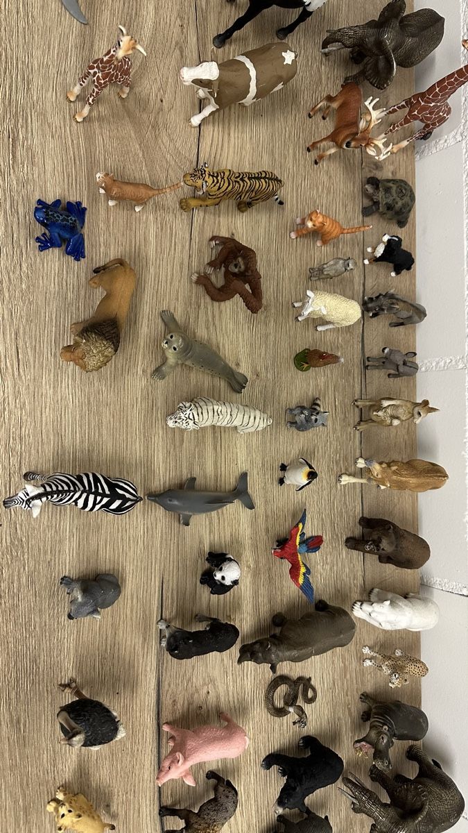 Schleich Statuette: Schleich Tiereset – Usato da Niederweningen venduto da Ro-so 2