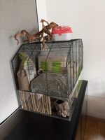 Hamsterkäfi 
