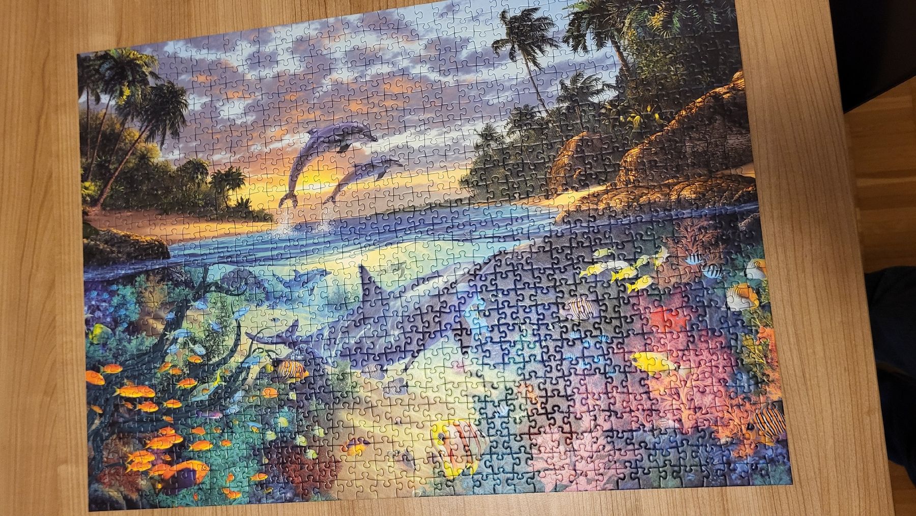Ravensburger Puzzle: Puzzle Delfine / Unterwasserwelt – Usato da Rüti ZH venduto da clady01 1