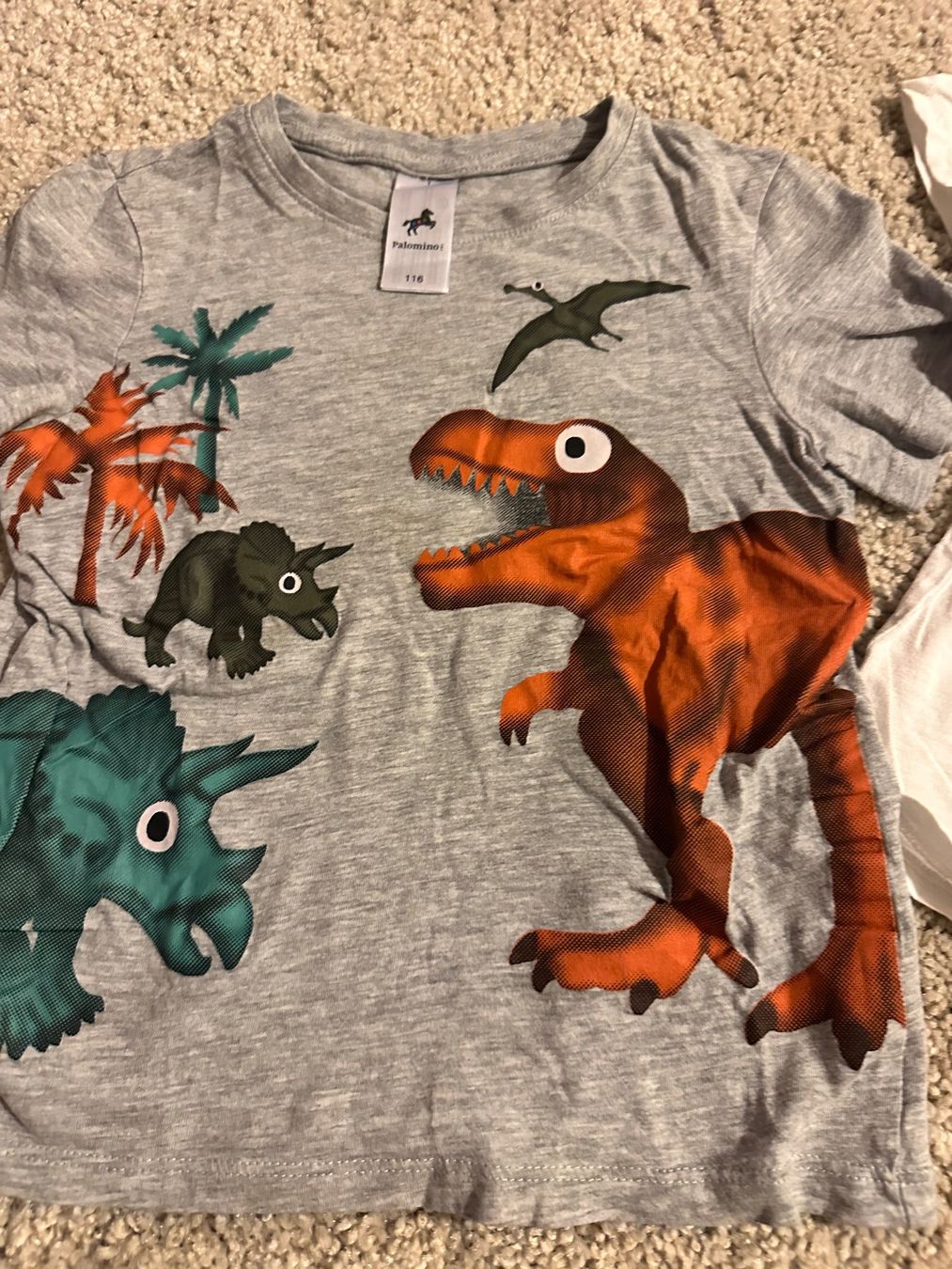 Lotti & Set di vestiti: T-Shirt 3/4 Jahre – Usato da Rapperswil BE venduto da aro_66tx 3