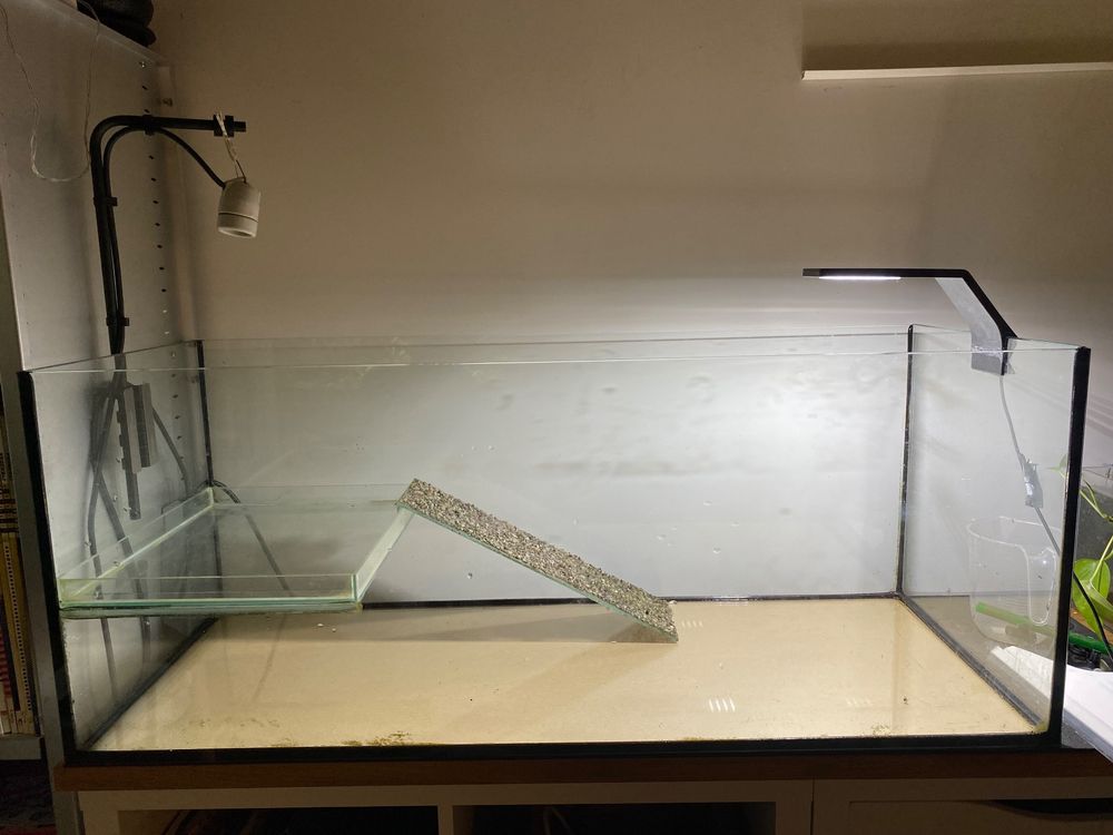Hamiledyi Acryl Schildkröten-Aquarium Set – Mit Deckel, Pumpe, Sonnenplattform & Ablauf, 35x25x21 Cm Für Kleine Schildkröten