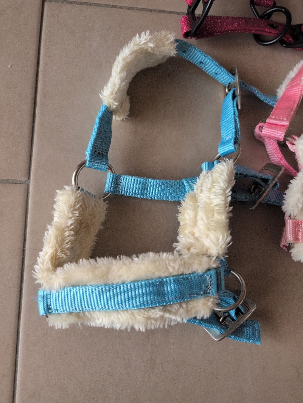 Briglie & Cavezze: Mini Shetty oder Fohlen Halfter Set – Usato da Glattbrugg venduto da Rose198 2