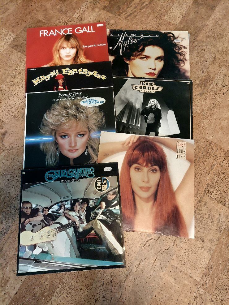 Dischi in vinile: Frauenpower Langspielplatten – Usato da Aarau venduto da Joplin02