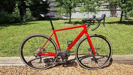 Canyon Endurace 8.0 AL