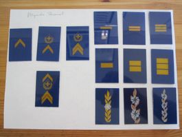 Seltenes Konvolut Abzeichen Fliegendes Personal