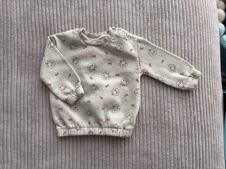 Pullover Gr. 74
