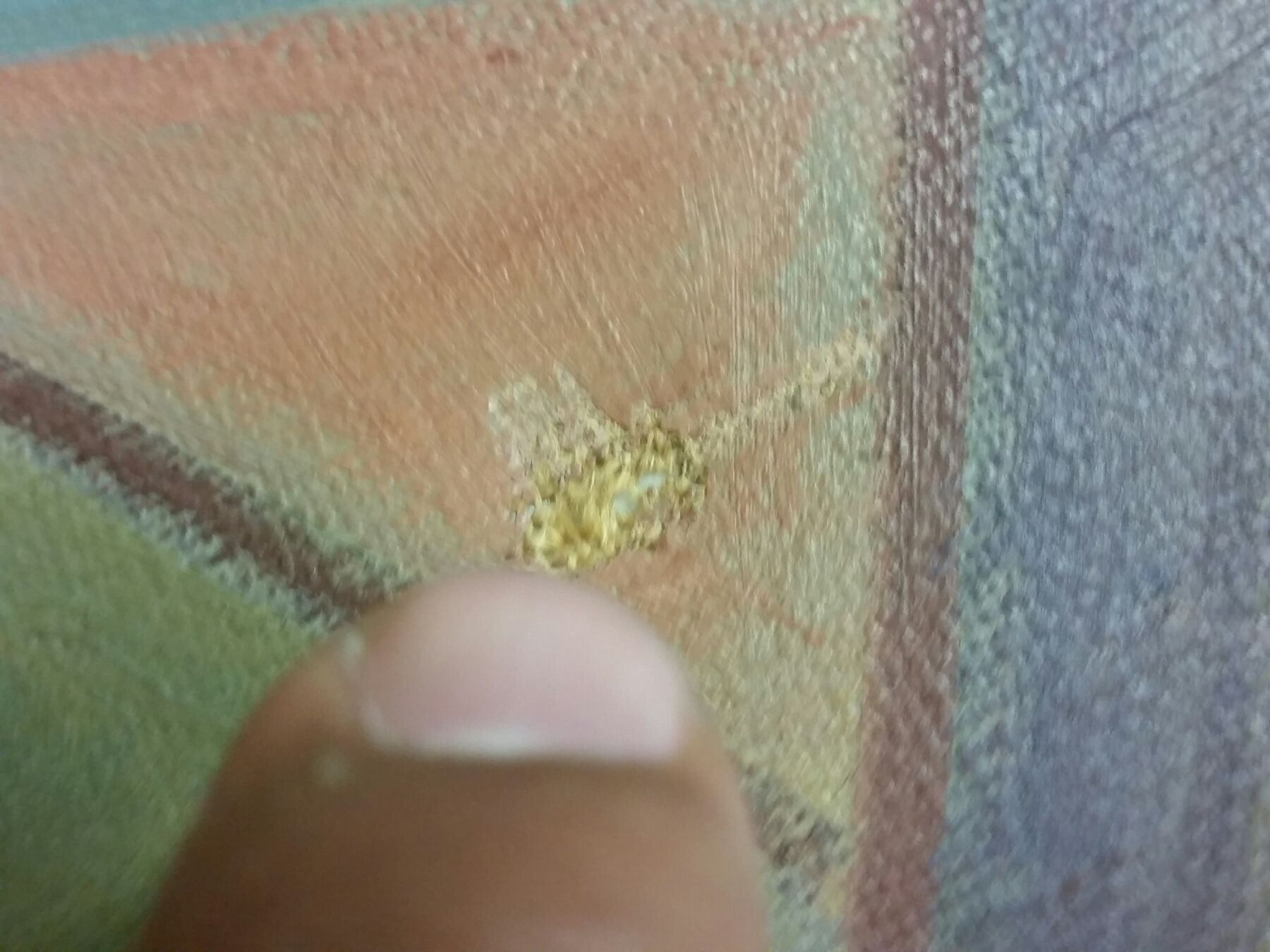 Gemälde: Huile sur toile signée et datée 7.29 – Gebraucht aus Genève von Qanil77 6
