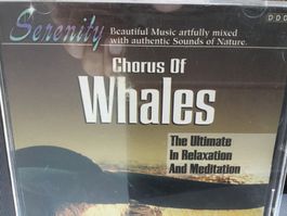 Serenity Chorus Of Whales CD 💿