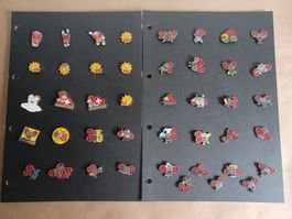 b/40+ verschiedene Pins Blick/Käferli mit Verschluss