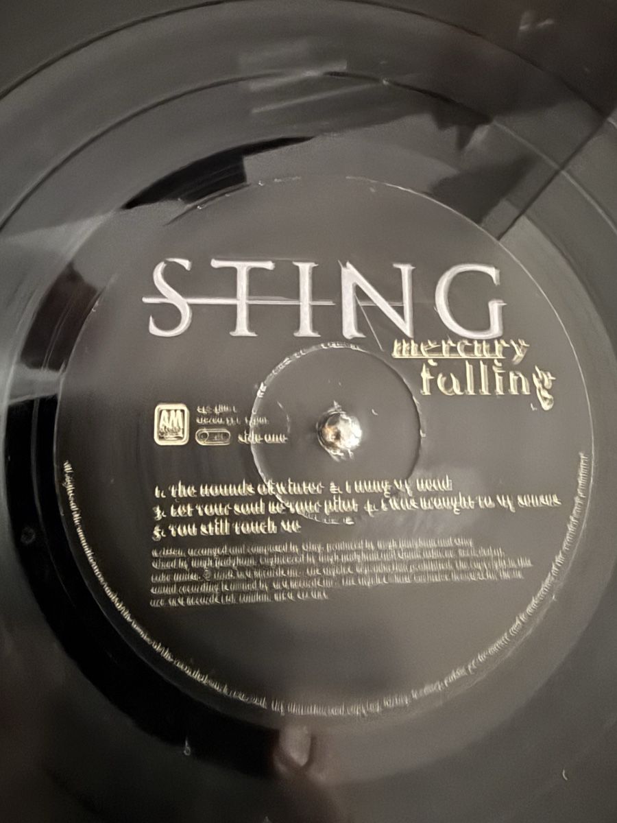 Dischi in vinile: Sting Mercury Falling Schallplatte LP – Usato da Goldach venduto da Donpancho 7