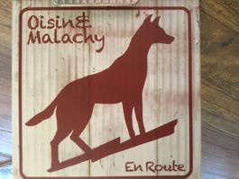 CD Oisín & Malachy En Route Turn of the sun  s
