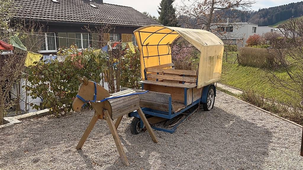 Calèches: Pferdekutsche / Spielkutsche – D'occasion à Abtwil SG par Lipol