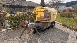 Pferdekutsche / Spielkutsche