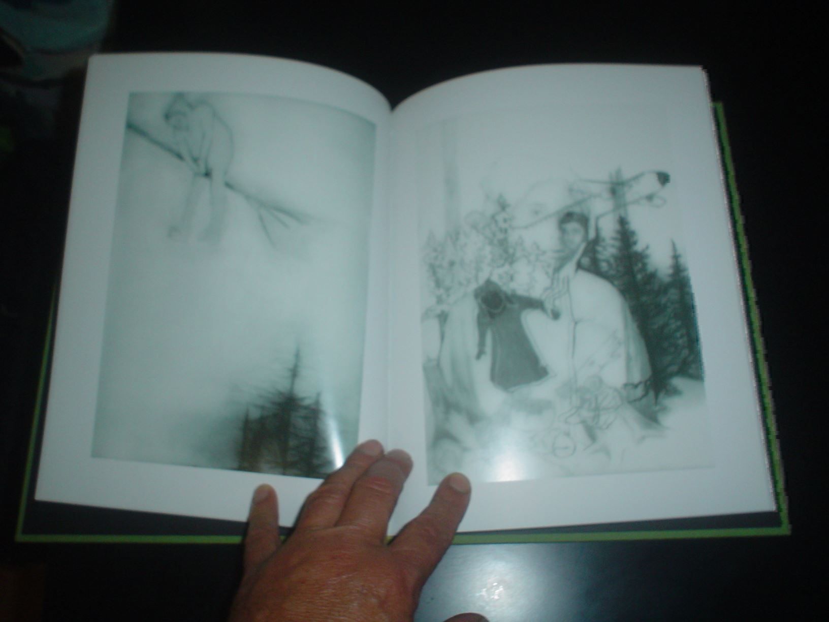 Livres: Anthony Goicolea Interessante Kunst – D'occasion à Welschenrohr par Regool 2