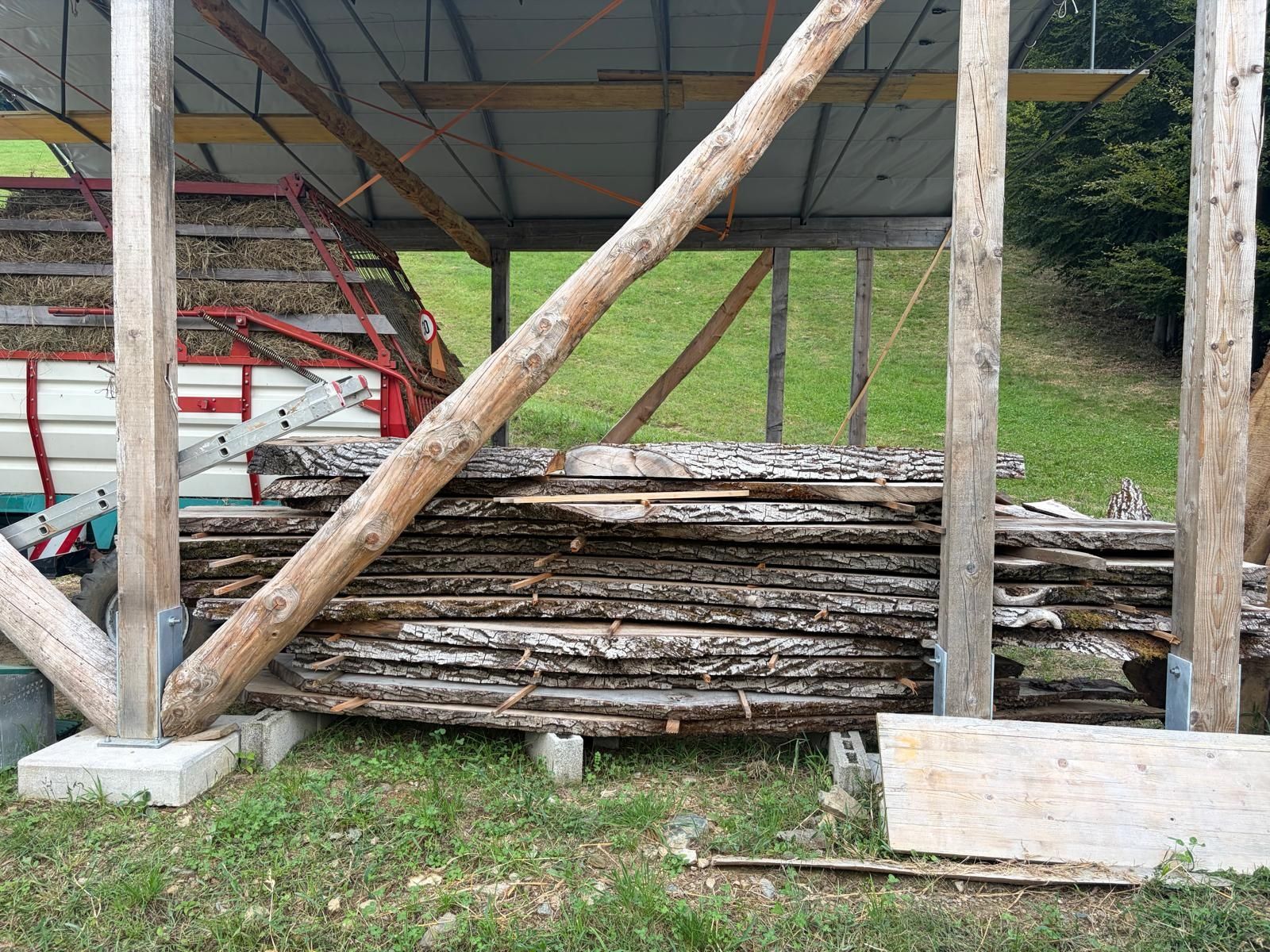 Articles en bois: Assi noce – D'occasion à Muzzano par Muz-piod6933 1