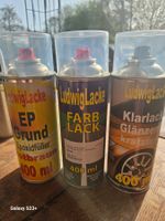 Auto Farbspray für Audi VW etc. X7W Eissilber