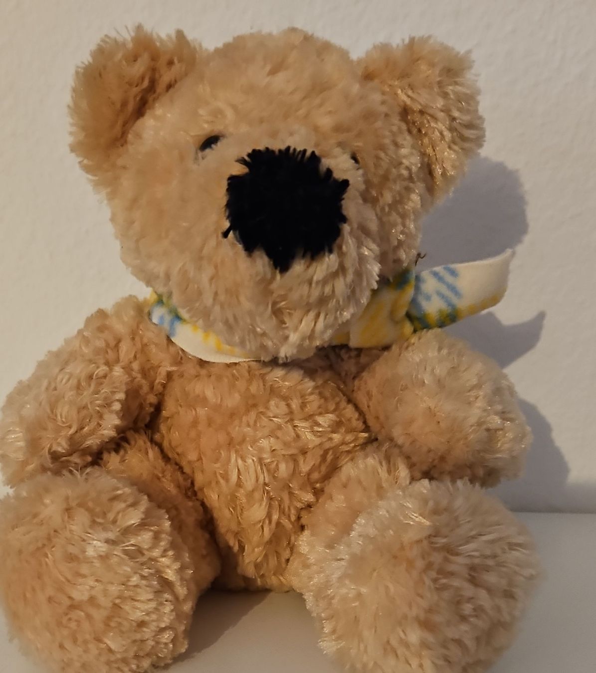 Spielzeuge: Süsser Teddybär sucht neues Zuhause – Neu (gemäss Beschreibung) aus Zürich von zweistein03