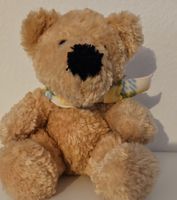 Süsser Teddybär sucht neues Zuhause