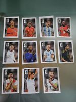 WM 26 Coca Cola Panini Sticker (11Stk)