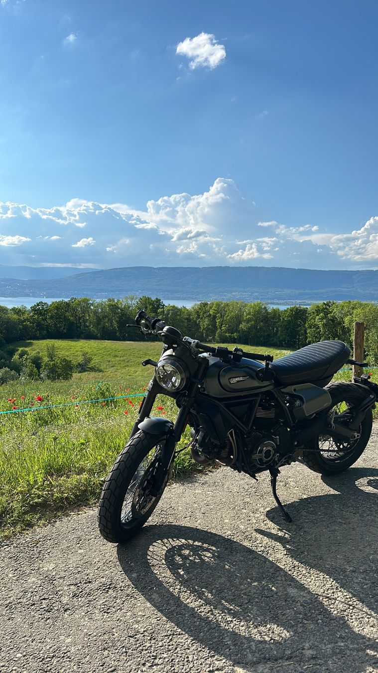 Ducati Strada: Ducati Scrambler Nightshift •  FRISCH ab Service & MFK – Usato da Galmiz venduto da DucatiDriver 1