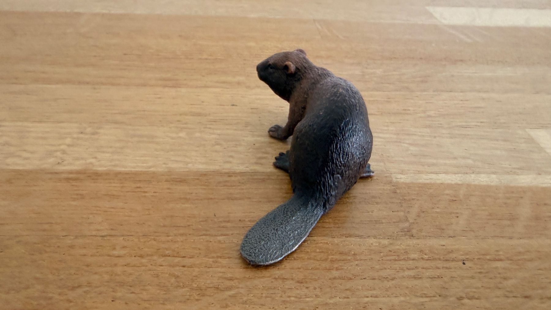 Schleich Giocattoli: SCHLEICH - Biber 14693 – Usato da Winterthur venduto da Secondhand-Family 3