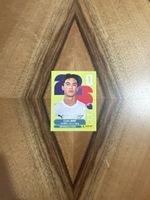 Panini WM NZL 18