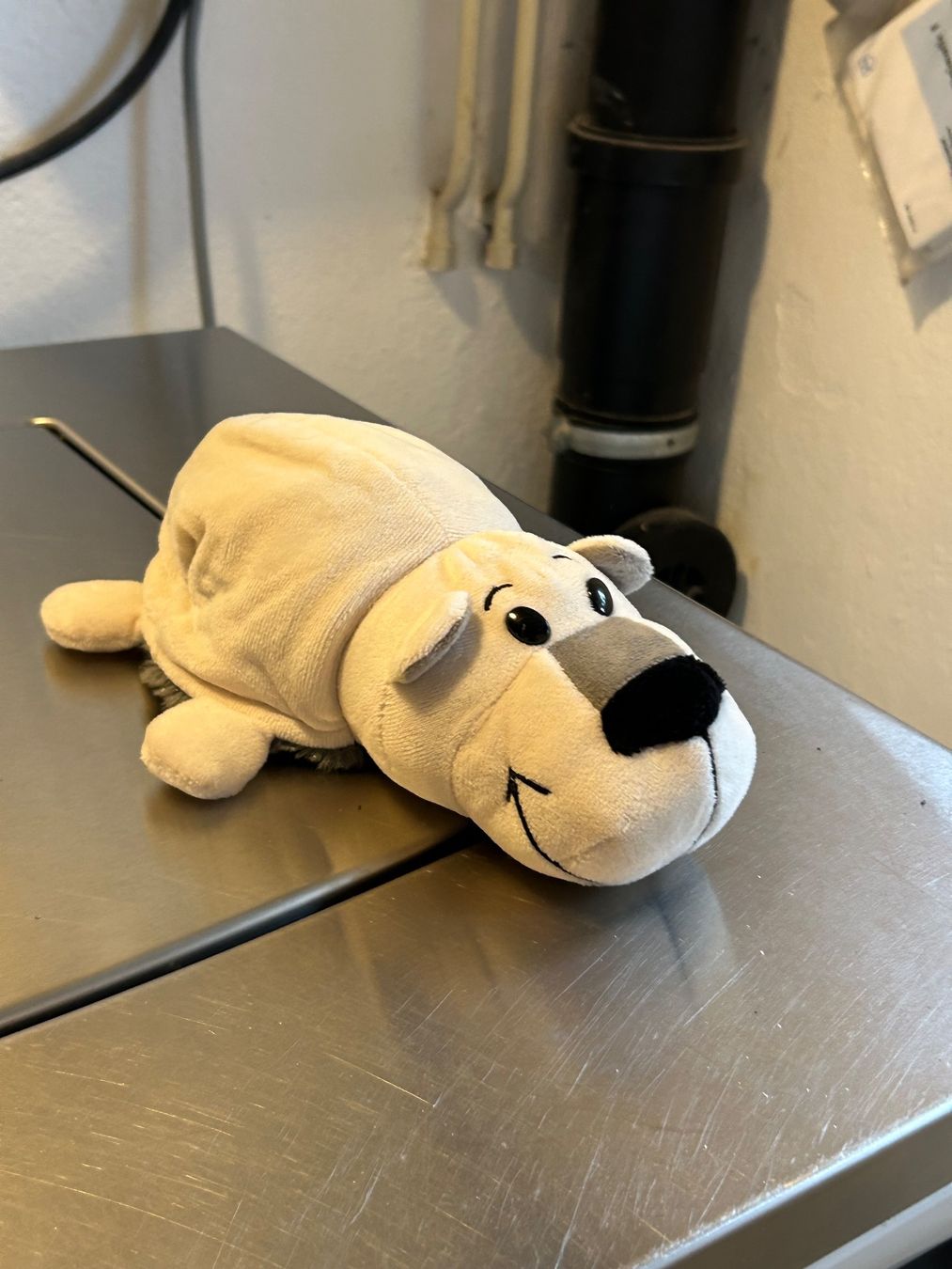 Spielzeuge: Wendbares Kuscheltier Husky und Eisbär – Neu (gemäss Beschreibung) aus Wabern von belka72 5