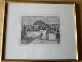 Kupferstich Schloss Hagenwil