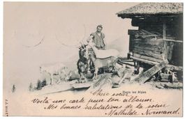 Dans les Alpes - Armailli avec chèvres, circulée 1901