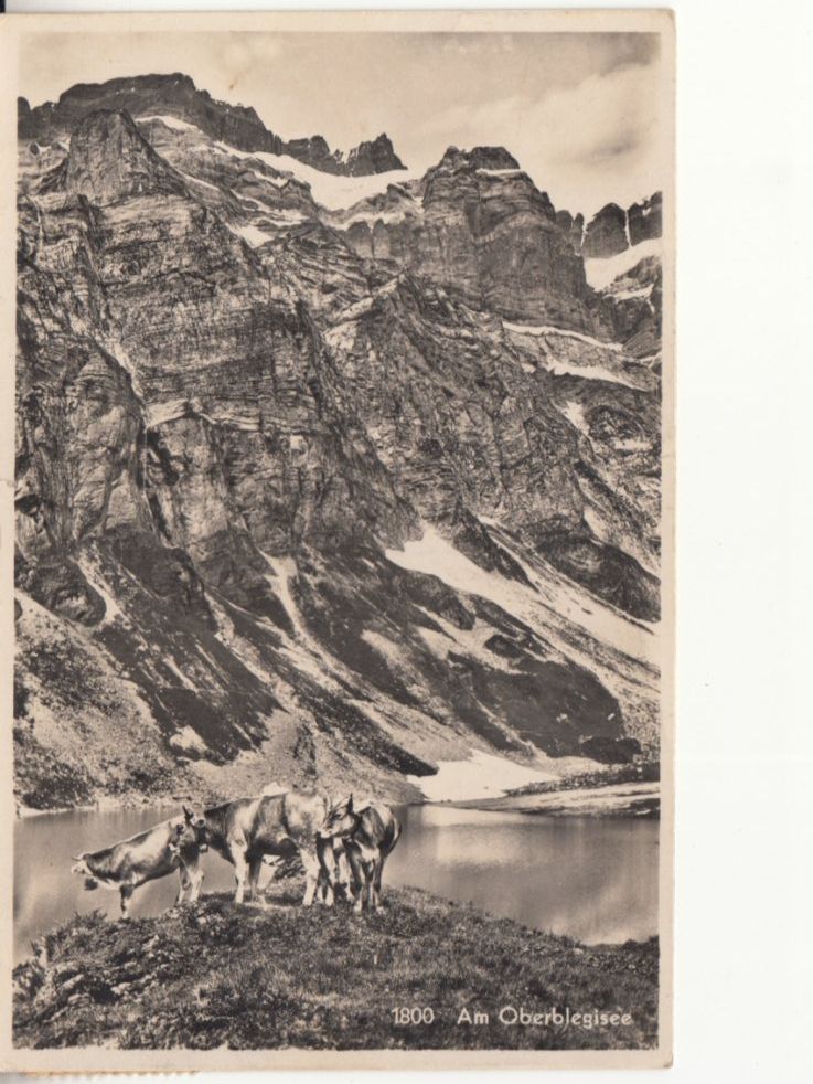 Ansichtskarten: Oberblegisee 1951 – Gebraucht aus Bürglen TG von StampGraf