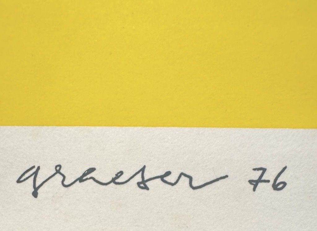 Grafica & Litografie: Camille Graeser, Farbserigtaphie – Usato da Rain venduto da Pic-Ass 1