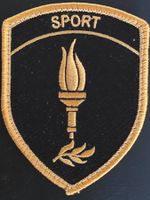 Armée Sport Abzeichen Badge Sport Klett