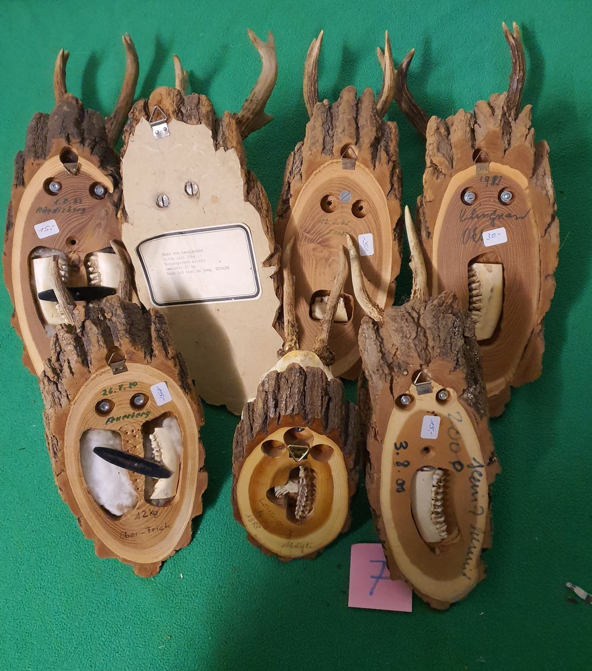Altre raccolte & rarità: JAGD TROPHÄE 7 STÜCK SEHR  Nr.7 SCHÖN – Usato da Schönenwerd venduto da don1952 1