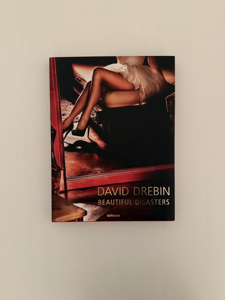 Libri: David Drebin – Beautiful Disasters – Usato da Thun venduto da haaskin