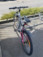 Mountain Bike CROSSWAVE s300 silver pink used