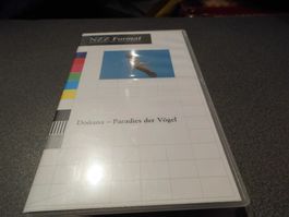 Video Donana - Paradies der Vögel