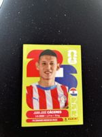 Panini PAR 6