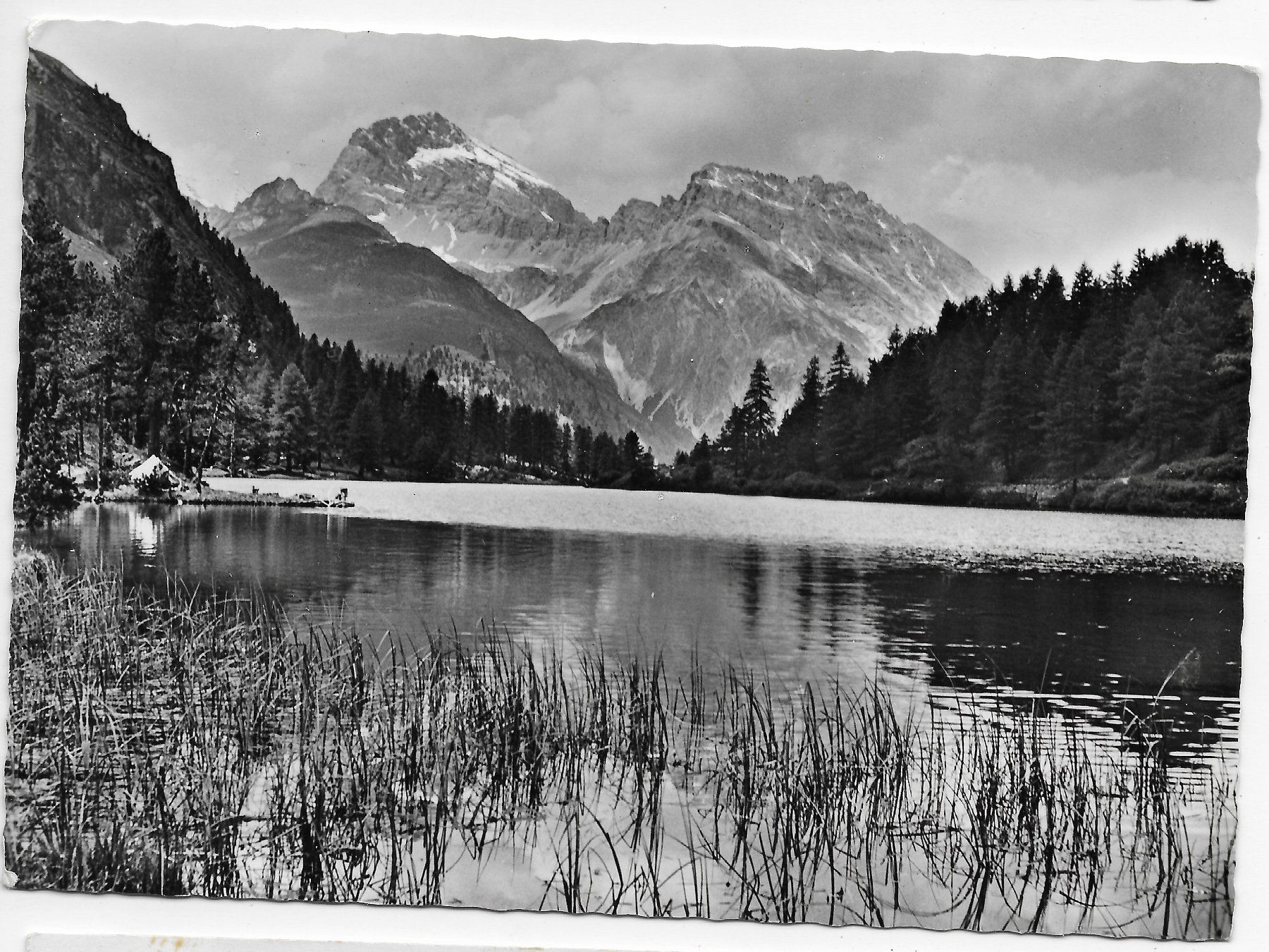 Cartoline postali: Palpougnasse bei Preda(Albulapass) – Usato da Hefenhofen venduto da Richsalz