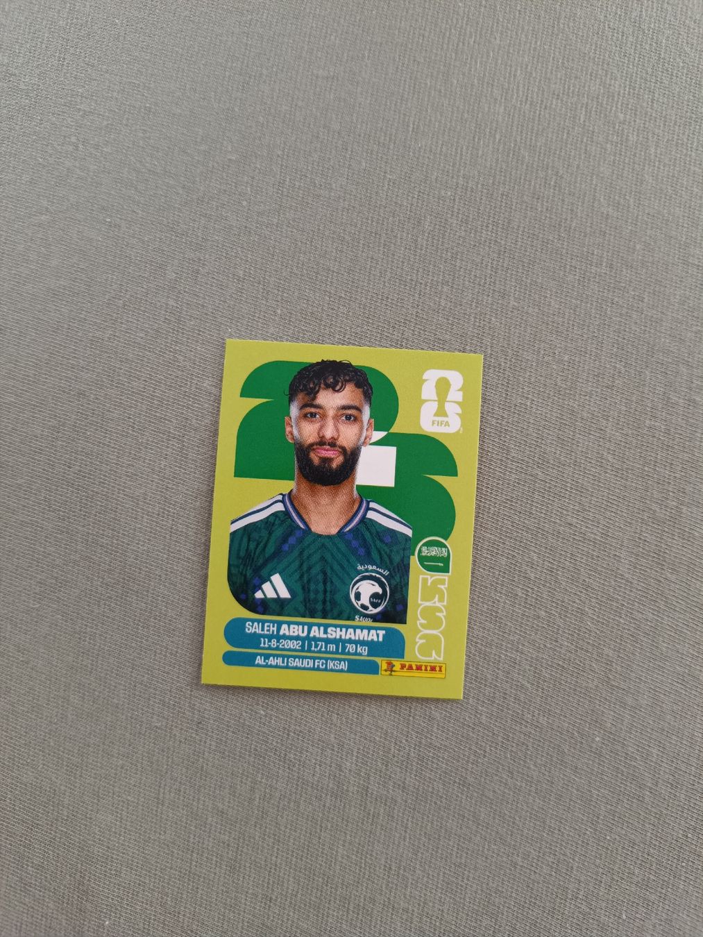 Panini Sammelbilder & Trading cards: Panini KSA14 – Neu und originalverpackt aus Muri AG von Puschelknuffel