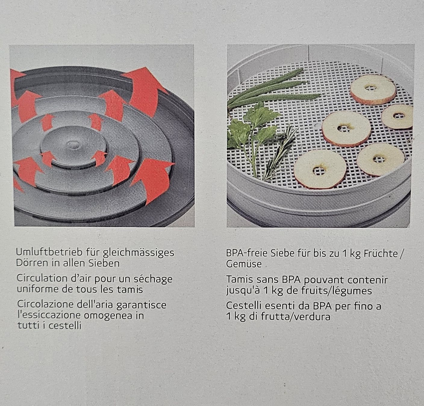 Mio Star Elettrodomestici da cucina: MIOSTAR Dörrgerät Dehydrator 540 - wie neu – Nuovo (secondo la descrizione) da Movelier venduto da Jasmin2812 2