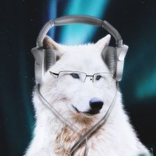 Profile image of Wolflone249