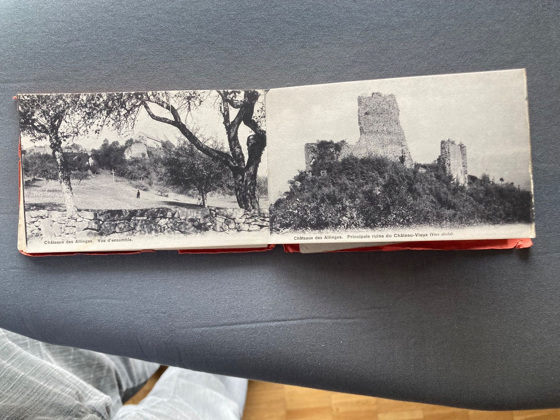 Cartes postales: Altes Postkartenheft Châteaux des Allinges 15 Karten – D'occasion à Zürich par mik_h9ty 6