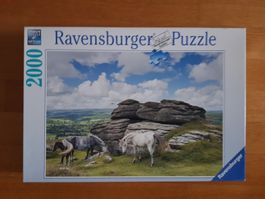 Puzzle von Ravensburger 2000 Teile