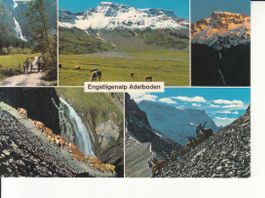Engstligenalp 1985