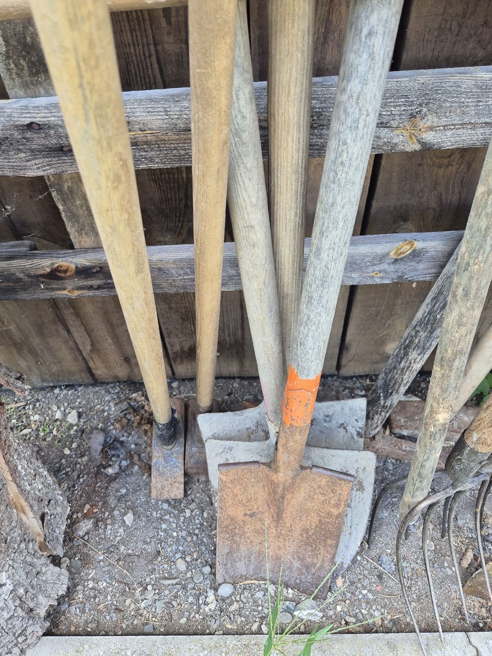 Tutti gli attrezzi: Gartenwerkzeug, Beil, Rechen, Schaufeln...Konvolut – Usato da Vilters venduto da Fleiflomi 4