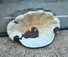 antike Seifenschale MUSCHEL Gusseisen emailliert L 18cm